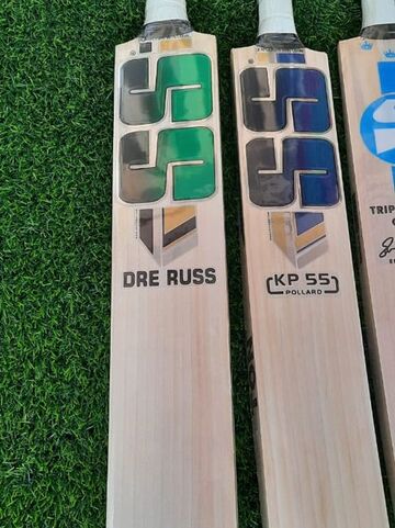 SS Cricket Bat