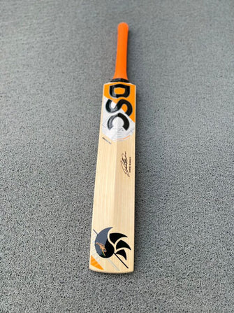 DSC Krunch Pro David Warner Edition English Willow Grade 1 Bat