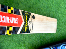 Gray Nicolls Supernova edition English willow bat