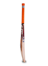 CA 10000 Plus cricket Bat