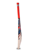 CA 5000 plus cricket bat