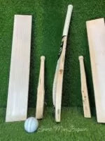 SG Believe Become High-Quality Players Edition English Willow Grade 1 Cricket Bat