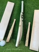 SG Believe Become High-Quality Players Edition English Willow Grade 1 Cricket Bat