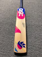 DSC Intense Rage Players Edition English Willow Grade 1 Cricket Bat