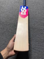 DSC Intense Rage Players Edition English Willow Grade 1 Cricket Bat