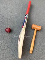 SS Ton Gunther Player’s Edition English Willow Grade 1 Cricket Bat