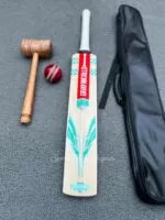 Gray Nicolls GEM 1.1 Players Edition English Willow Grade 1 Cricket Bat - Elevate Your Game