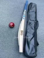 GM B55S Limited 2023 Edition English Willow Grade 1 Cricket Bat