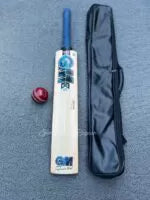 GM B55S Limited 2023 Edition English Willow Grade 1 Cricket Bat