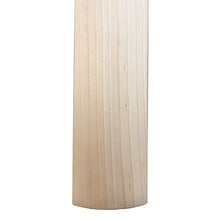 Plain English Willow Cricket Bat