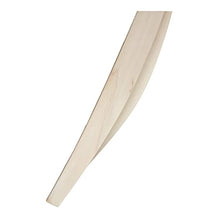 Plain English Willow Cricket Bat