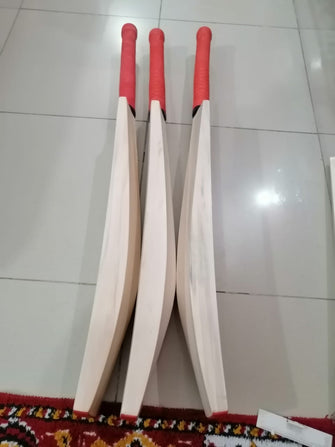 Plain Finest quality English willow bat