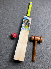 CA Gold 1000 English Willow Cricket Bat