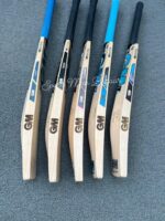 Choose the Best! Professional GM Players Edition English Willow Grade 1 Cricket Bats